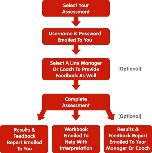 MTD Sales Insight Process